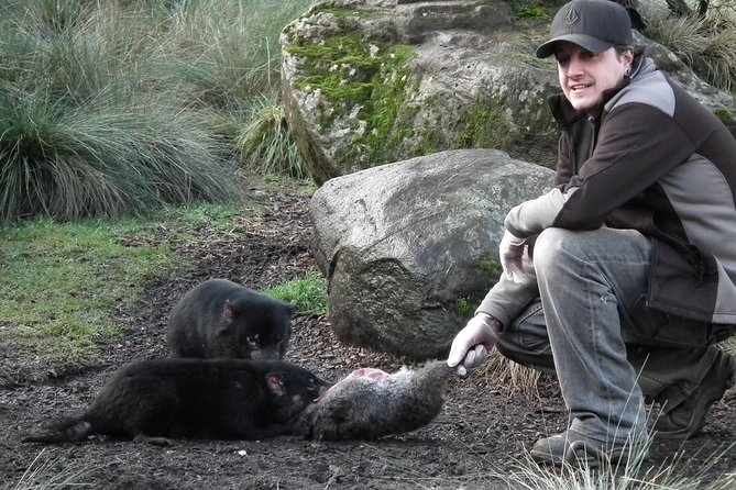 Wildlife Night Spotting at Cradle Mountain - What wildlife might you see?