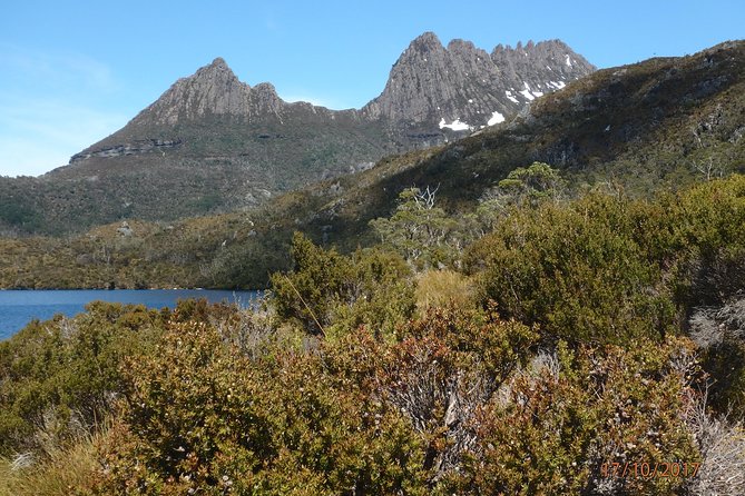 Wildlife Night Spotting at Cradle Mountain - Price, group size and what the fee covers