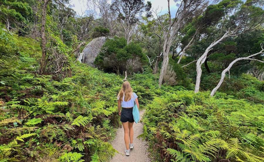 Wilson's Promontory National Park Day Tour From Melbourne - Mount Bishop for the big view