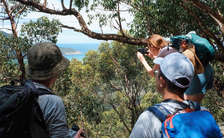 Wilson's Promontory National Park Day Tour From Melbourne - Wildlife at the historic airfield