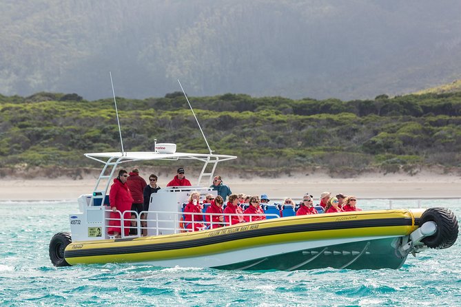 Wilsons Promontory Wilderness Cruise from Tidal River - Skull Rock, granite forms, and the best photo stop