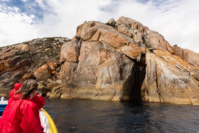 Wilsons Promontory Wilderness Cruise from Tidal River - Is the $118.35 price good value?