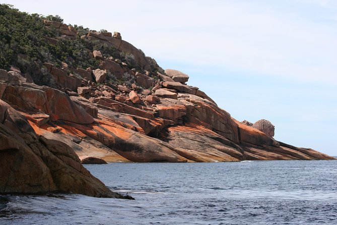 Wineglass Bay Cruise from Coles Bay - Wildlife is a bonus, not a promise