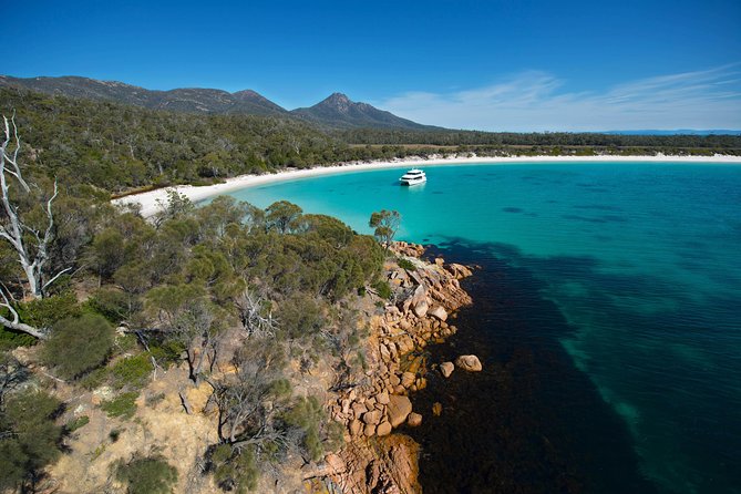 Wineglass Bay Cruise from Coles Bay - Lunch, drinks, and the best way to spend the onboard time