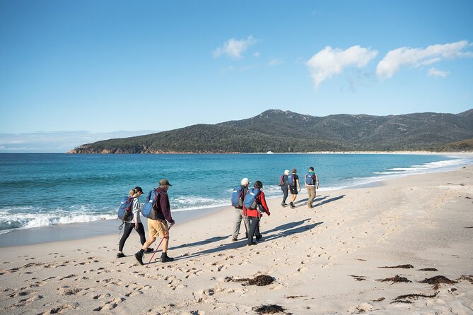 Wineglass Bay Cruise from Coles Bay - Who will enjoy this cruise most?