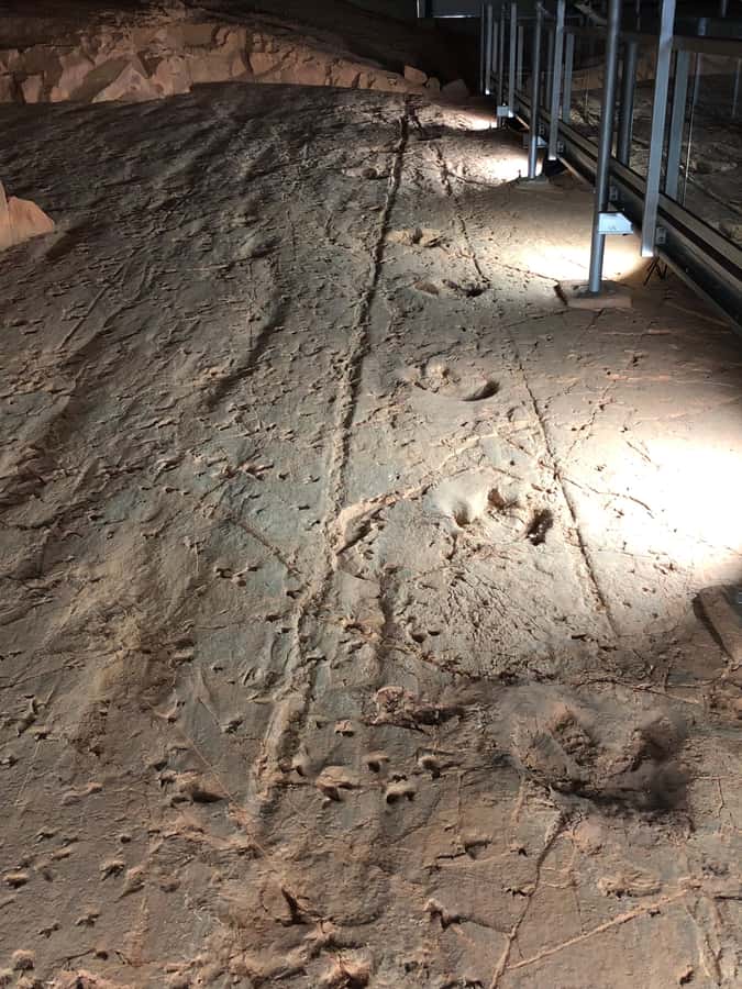 Winton: Dinosaur Stampede 3/4 Day Tour - Merton Gorge and the cattle-station stops