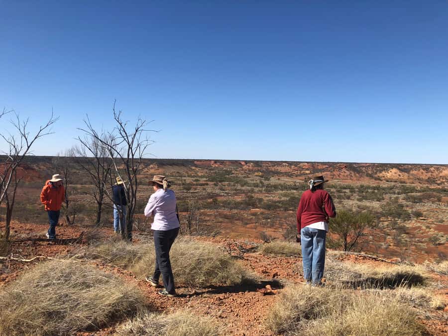 Winton: Dinosaur Stampede 3/4 Day Tour - Who should book this Winton tour?