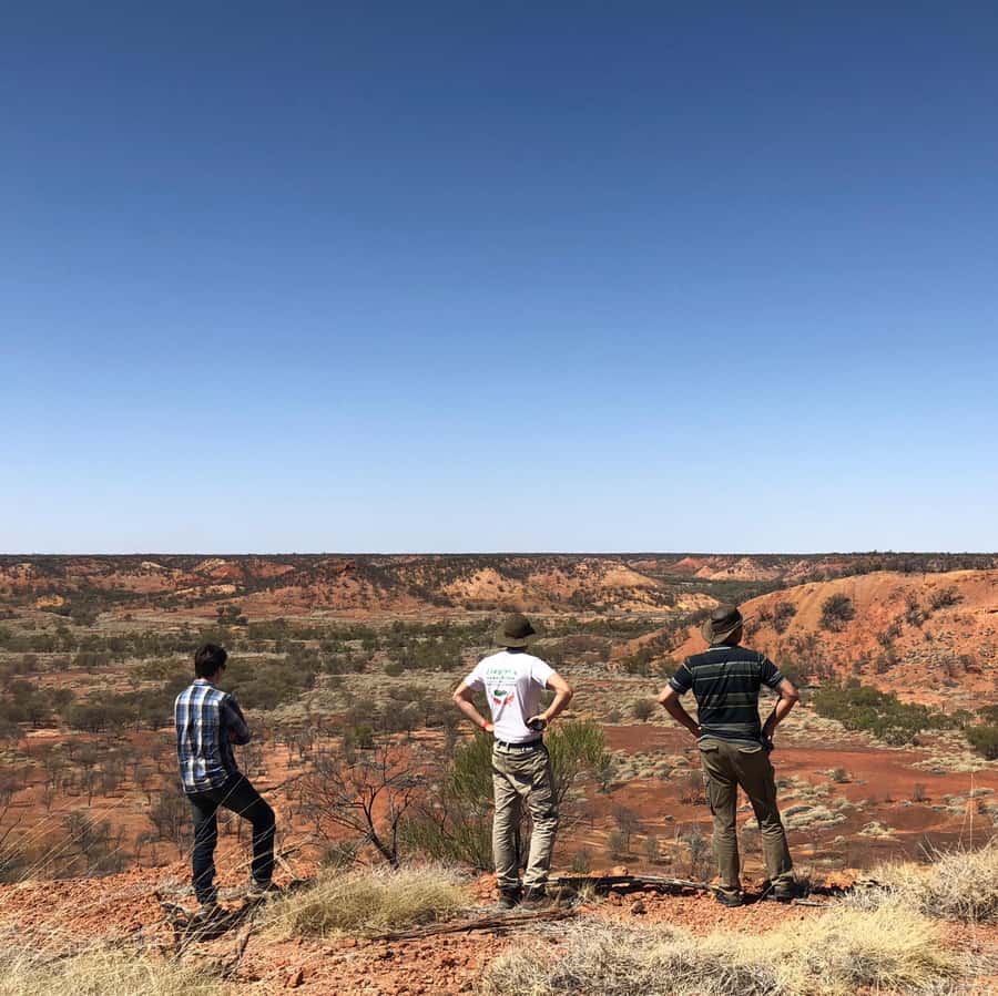 Winton: Dinosaur Stampede 3/4 Day Tour - Should you book the Dinosaur Stampede tour?