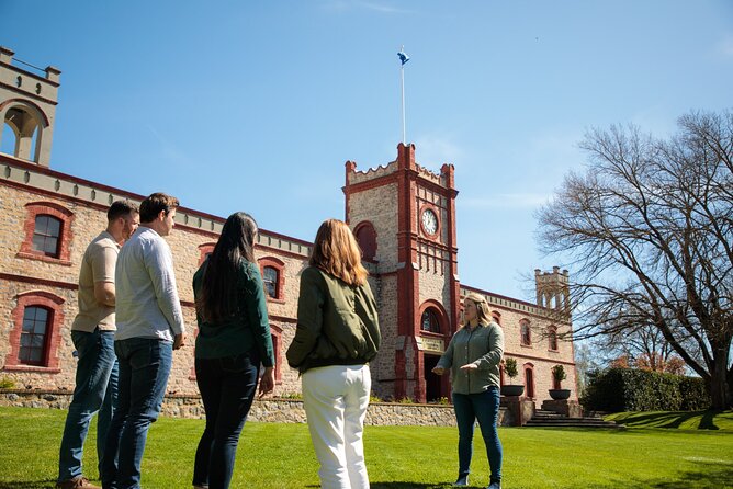 Yalumba Unlocked - Why Yalumba offers more than a standard wine tasting