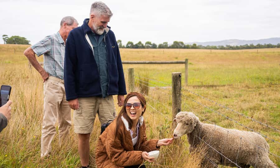 Yarra Valley Full Day Grazing Tour: Gin, Wine, Pizza, Cheese - Eight chocolates at the Yarra Valley Chocolaterie
