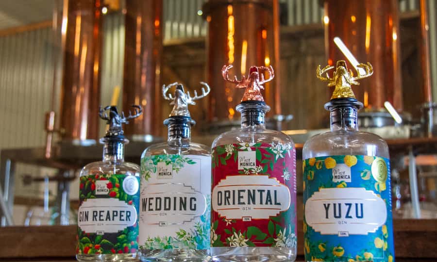 Yarra Valley Full Day Grazing Tour: Gin, Wine, Pizza, Cheese - Is $133 good value?