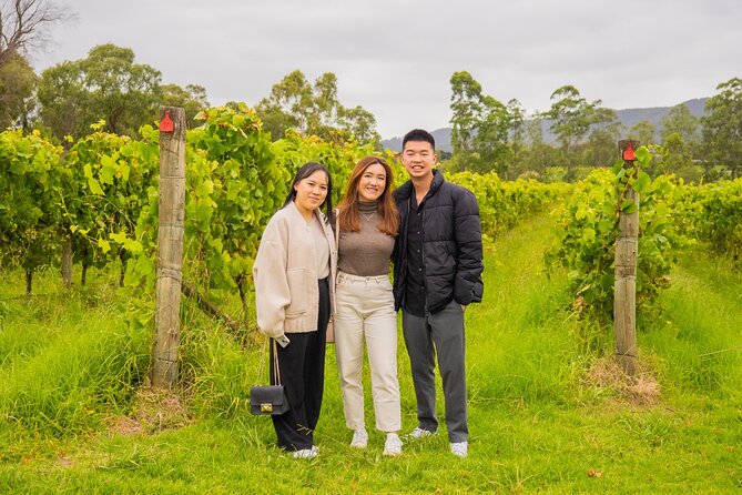 Yarra Valley Grazing Tour Wine, Cheese, Gin, Pizza from Melbourne - Chocolate and ice cream at the day’s finish