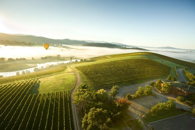 Yarra Valley Wine Day Tour - Yering Station brings the best meal of the day