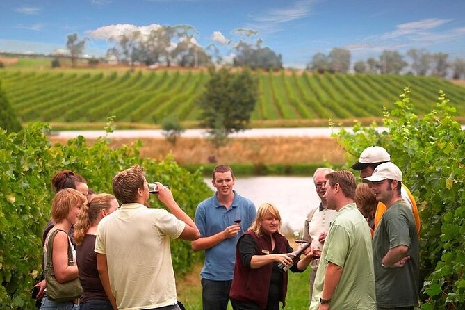 Yarra Valley Wine & Winery Tour from Melbourne - All Inclusive! - Key points to know before you go