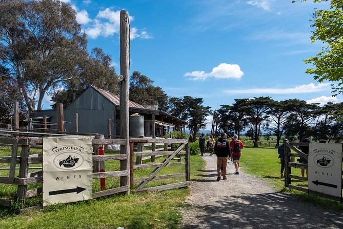 Yarra Valley Wine & Winery Tour from Melbourne - All Inclusive! - The drive into Victoria’s wine country