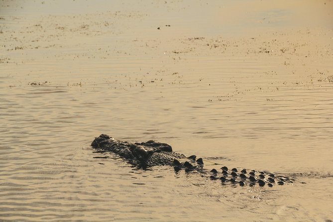Yellow Water Cruise - Kakadu - The guides shape the experience