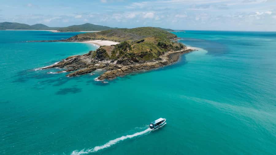 Yeppoon: Great Keppel Island Fast Boat Snorkel & Lunch Tour - Snorkelling around Great Keppel Island