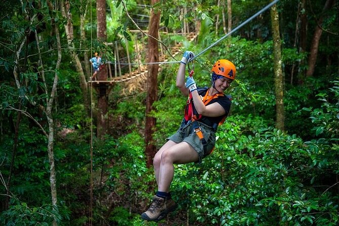 Ziplining Cape Tribulation with Treetops Adventures - A canopy tour above Cape Tribulation