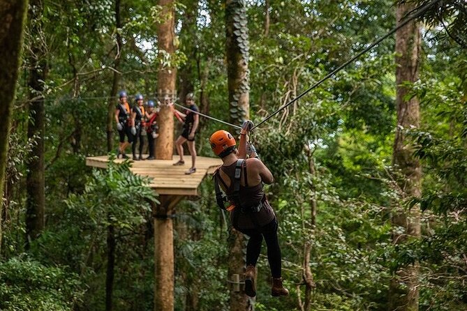 Ziplining Cape Tribulation with Treetops Adventures - What the two-hour timing really means
