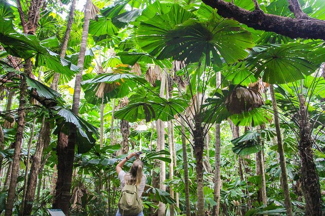 Ziplining Cape Tribulation with Treetops Adventures - Who will enjoy Treetops Adventures most?